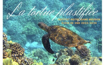 la tortue plastifiée